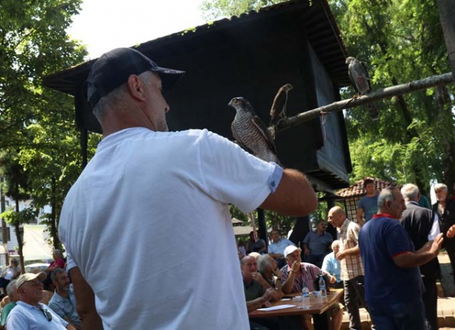 Rize'de atmacalar görücüye çıktı 8