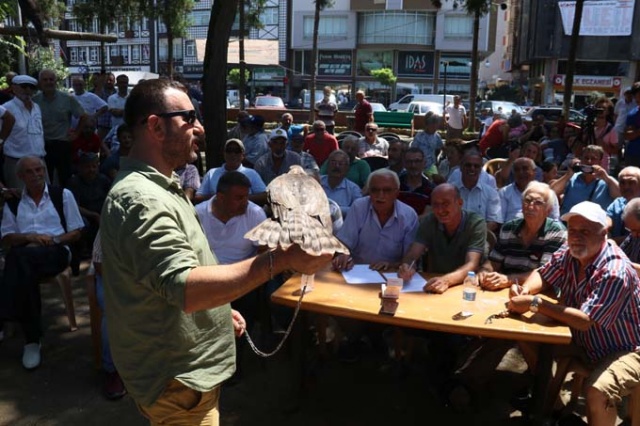 Rize'de atmacalar görücüye çıktı 15