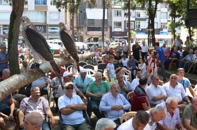 Rize'de atmacalar görücüye çıktı 13