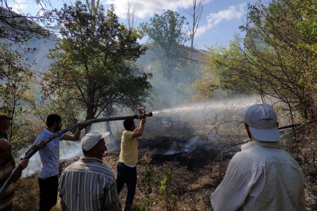 Gümüşhane’de rüzgarın kırdığı kavak ağacı yüksek gerilim hattına düştü 5