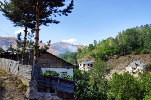 Gümüşhane’de rüzgarın kırdığı kavak ağacı yüksek gerilim hattına düştü 4