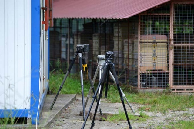 Trabzon'da ballara ayı testi 16