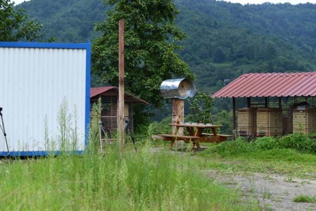 Trabzon'da ballara ayı testi 14