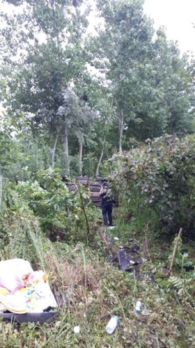 Samsun'da otomobil mısır tarlasına yuvarlandı: 4 yaralı 5