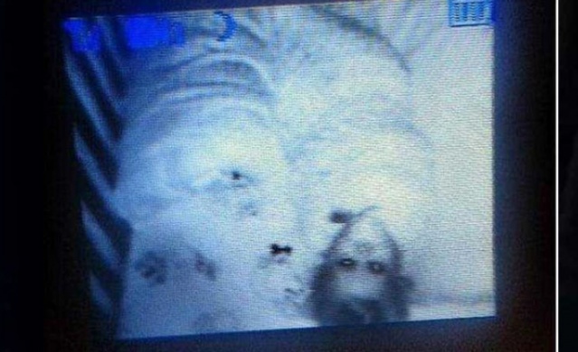 Bebek kamerasındaki korkunç anlar! 12