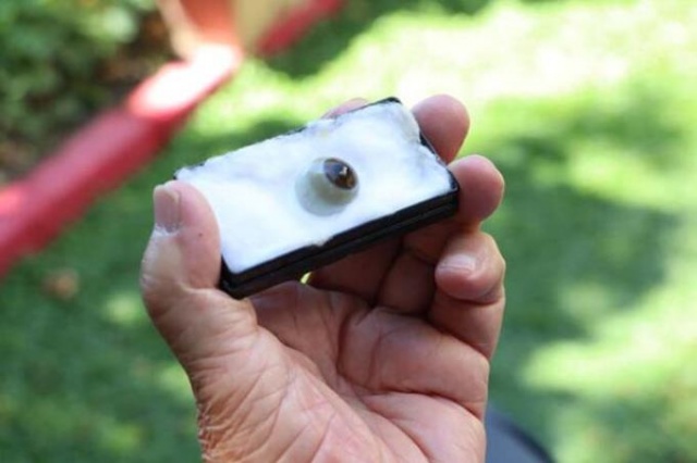 Bu göze "gözü" gibi bakıyor! 2