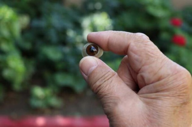 Bu göze "gözü" gibi bakıyor! 5