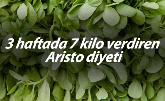 3 haftada 7 kilo verdiren Aristo diyeti 1