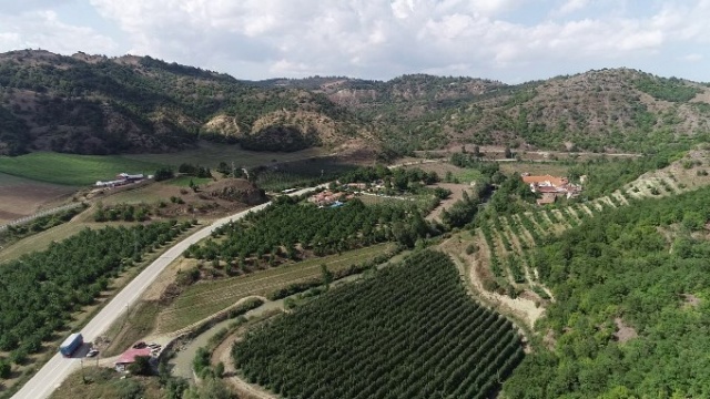 Bu ‘çay’ görenleri şaşkına çeviriyor 3