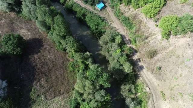 Bu ‘çay’ görenleri şaşkına çeviriyor 6