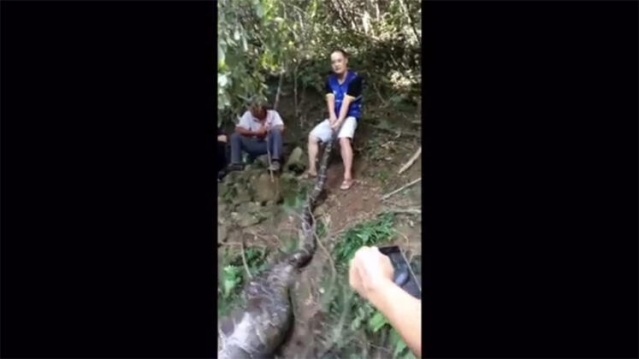 4 metrelik canavar şok etti 2