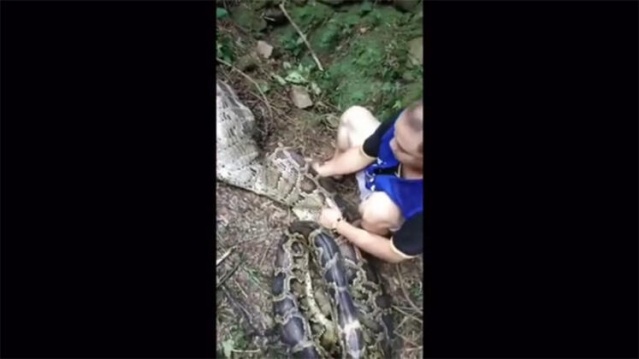 4 metrelik canavar şok etti 10