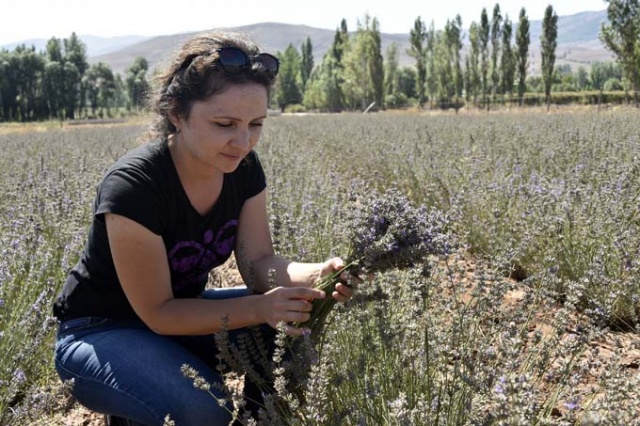 Doğu Karadeniz ilinde dikildi - Yüzde 100 başarı 7