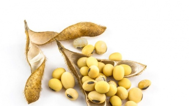 İşte lif kaynağı besinler. Foto Galeri 8