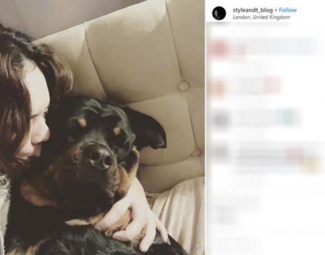 Korku filmi gibi! Cesedi çiçek bahçesinde bulundu 18