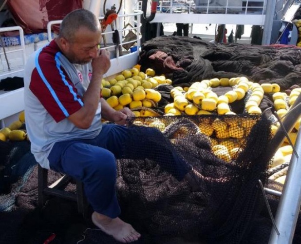 Karadeniz'de kıyı balıkçılığı risk altında 15