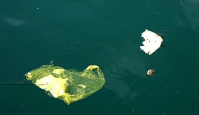 Karadeniz'de kıyı balıkçılığı risk altında 3