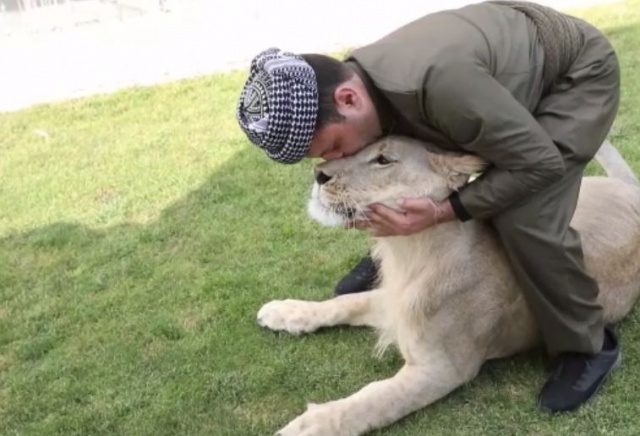 Evde aslan besliyor 10