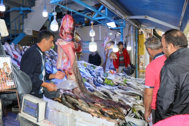 Bu senenin en büyüğünü yakaladılar 6