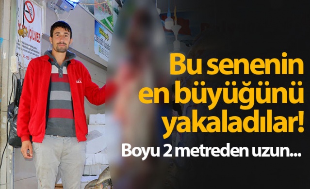 Bu senenin en büyüğünü yakaladılar 1