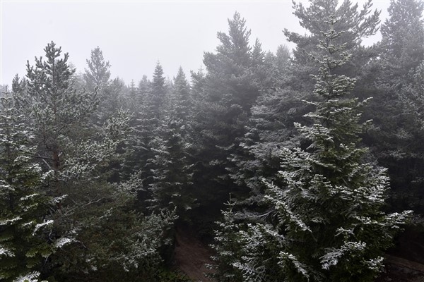 Limni Gölüne sezonun ilk karı yağdı 12