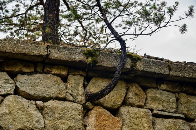 Tarihi kilisenin çatısında dikkat çeken görüntü 11