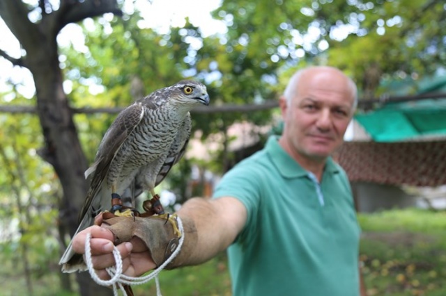 Asırlardır unutulmayan gelenek: Atmaca avcılığı 8
