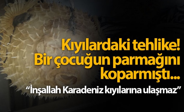 Türkiye kıyılarındaki tehlike 1