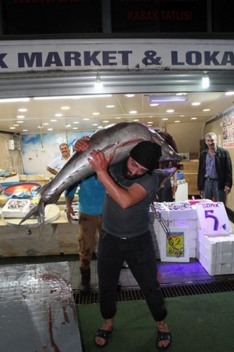 Hamsi için attıkları ağa takıldı! Tam 90 kilo... 7