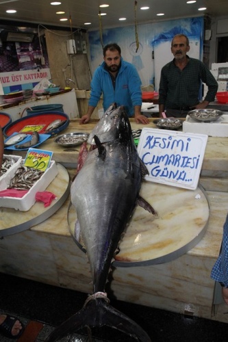 Hamsi için attıkları ağa takıldı! Tam 90 kilo... 5