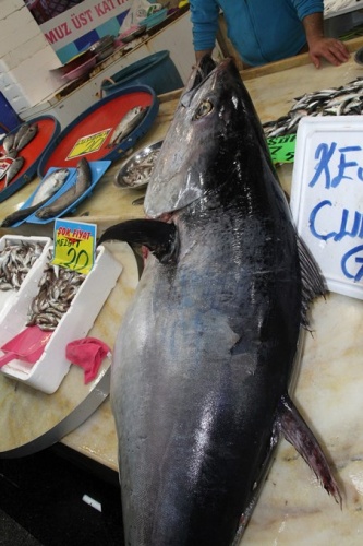 Hamsi için attıkları ağa takıldı! Tam 90 kilo... 3