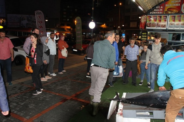 Hamsi için attıkları ağa takıldı! Tam 90 kilo... 4