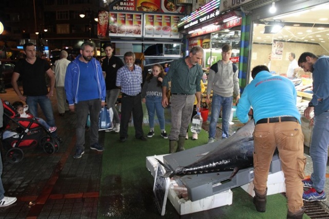 Hamsi için attıkları ağa takıldı! Tam 90 kilo... 6