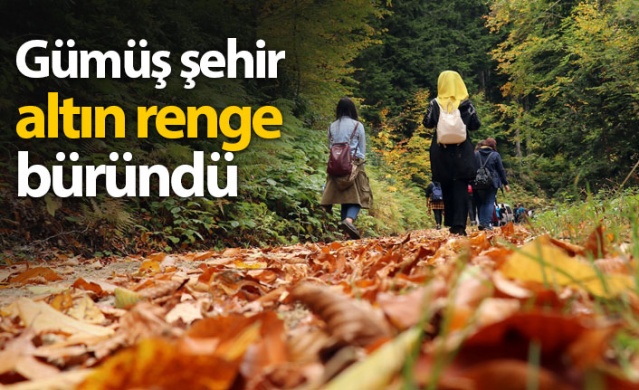 Gümüş şehir altın renge büründü 1