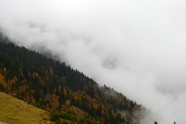 Gümüş şehir altın renge büründü 2
