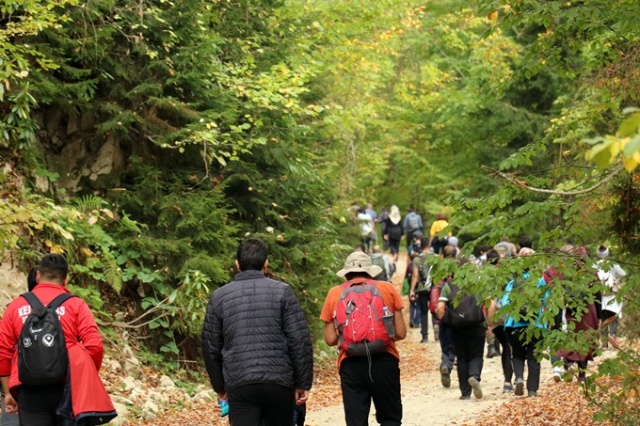 Gümüş şehir altın renge büründü 4