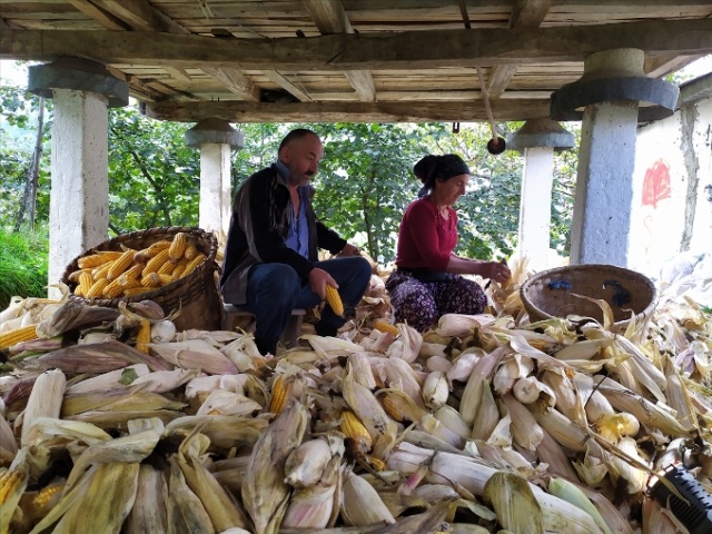 Karadeniz'in cefakar kadınları kışa hazır 16