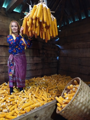 Karadeniz'in cefakar kadınları kışa hazır 13