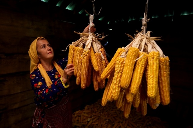 Karadeniz'in cefakar kadınları kışa hazır 2