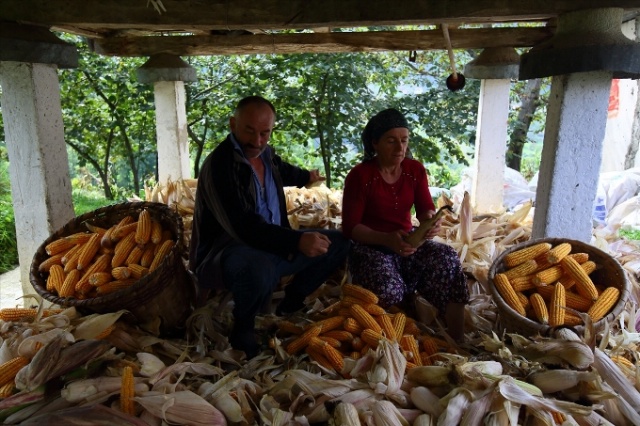 Karadeniz'in cefakar kadınları kışa hazır 18