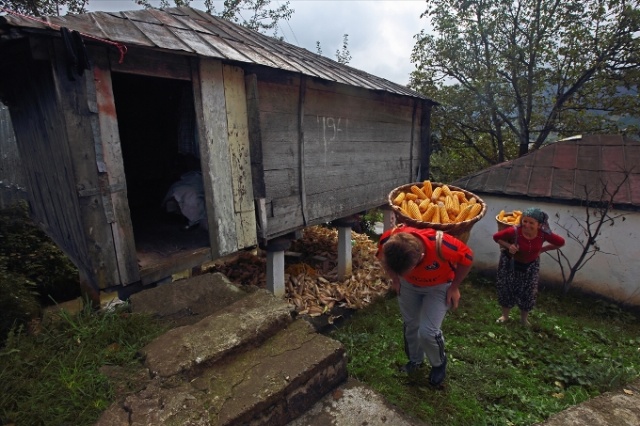 Karadeniz'in cefakar kadınları kışa hazır 15