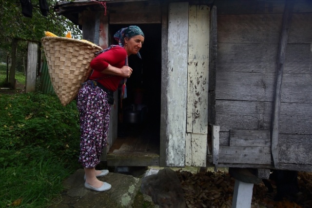 Karadeniz'in cefakar kadınları kışa hazır 12