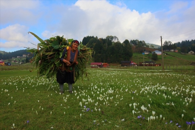 Karadeniz'in cefakar kadınları kışa hazır 9
