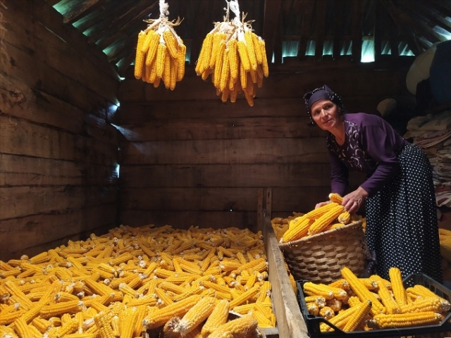 Karadeniz'in cefakar kadınları kışa hazır 20
