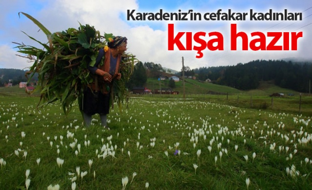 Karadeniz'in cefakar kadınları kışa hazır 1