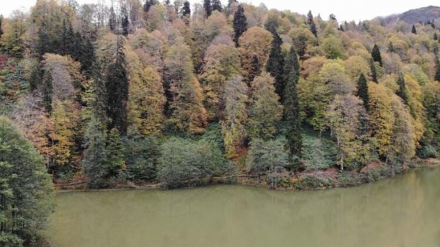 Borçka Karagöl'ün sonbahar güzelliği 3