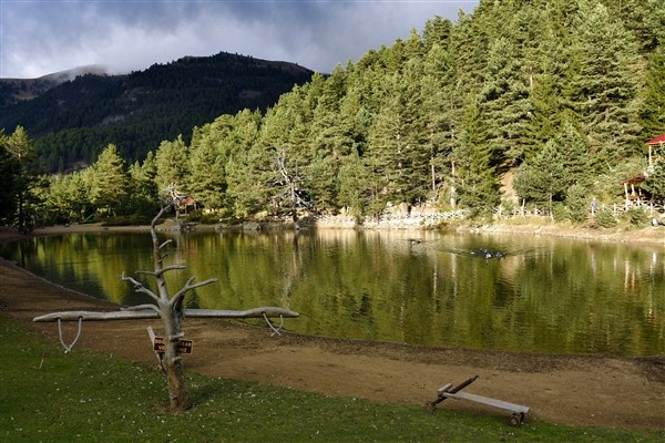 Limni Gölü'nde sonbahar hareketliliği 10