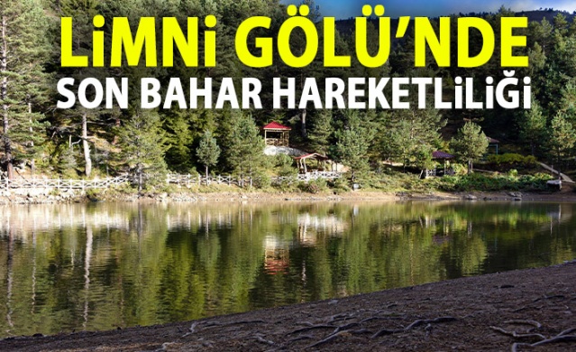 Limni Gölü'nde sonbahar hareketliliği 1