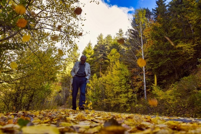 Zigana rengarenk oldu 11