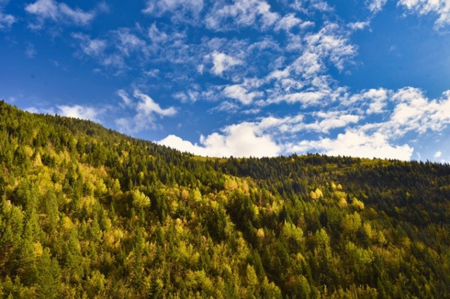 Zigana rengarenk oldu 7